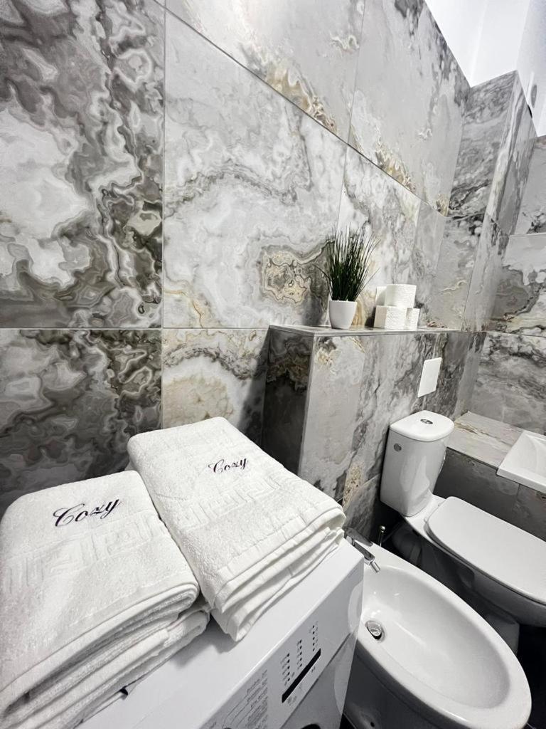 Luxury Cozy Apartments 苏恰瓦 外观 照片
